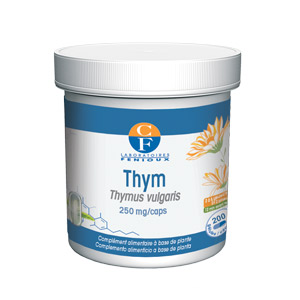 Thym (Thymus vulgaris) 